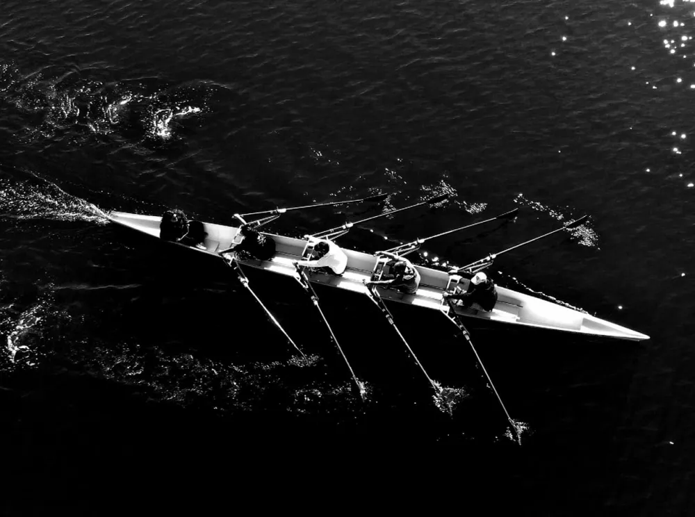 rowers on a lake black and white DUAL banner