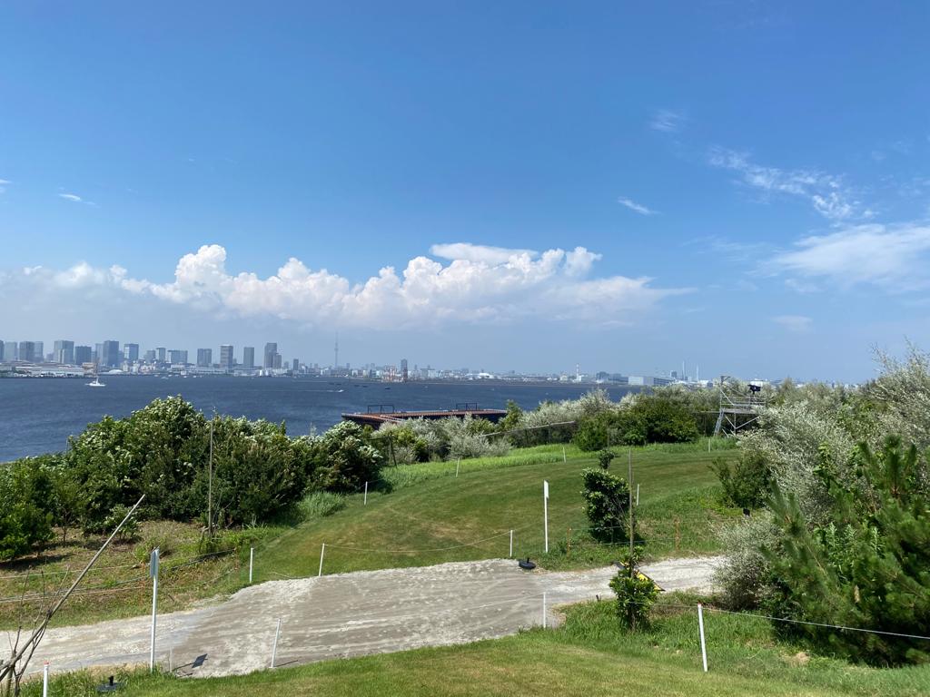 View of Tokyo from the cross country course