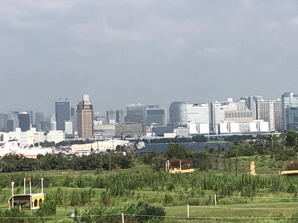 View of Tokyo from the cross country course